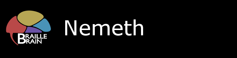 Braille Brain Logo and Nemeth